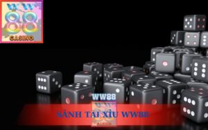 SẢNH TÀI XỈU WW88